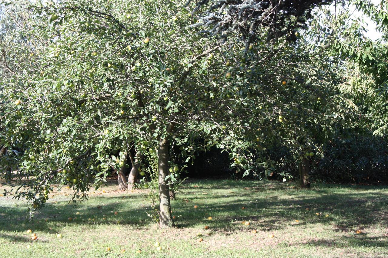 La Villa Blanc (Adults Only) Conques-sur-Orbiel Kültér fotó